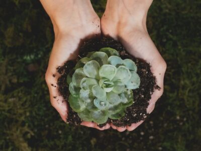 Sustainable Living