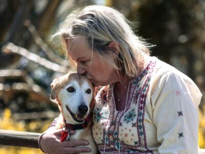 Effective Pet Care Tips